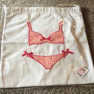 BRAND NEW Victoria’s Secret lingerie bag